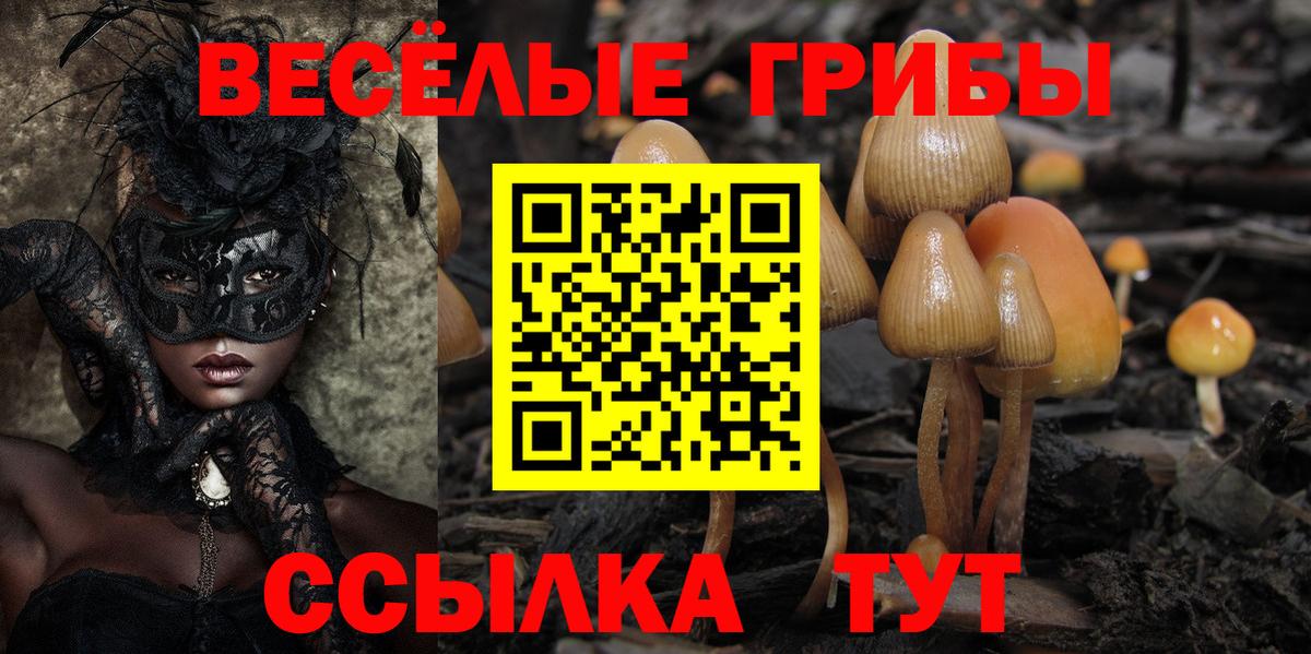 Галлюциногенные грибы GOLDEN TEACHER Богородск