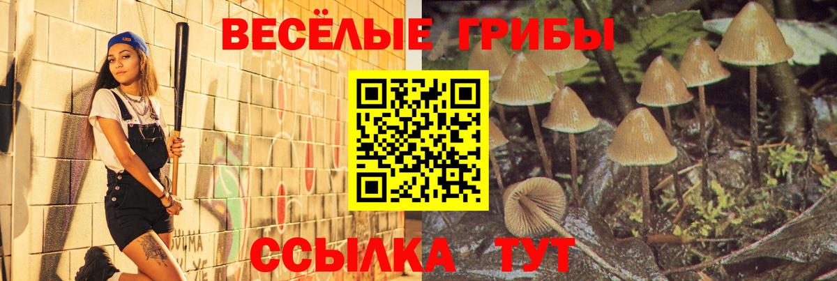 Галлюциногенные грибы Cubensis  Вход с VPN  Богородск 